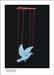 332 Ozlem Durmus-The truth- Turkey