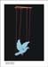 Ozlem Durmus-The truth- Turkey